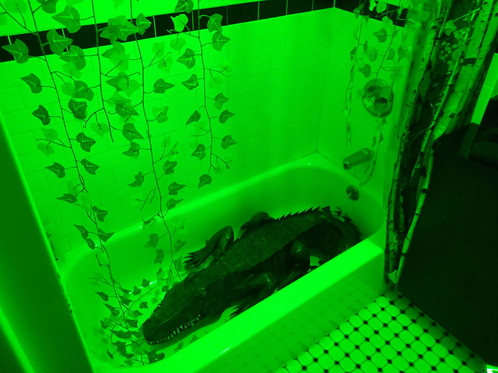 Papier mache alligator in the bathtub