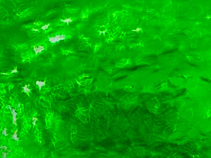 Bright green glass surface with sunlight showing through