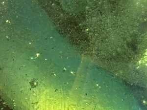 Sunlight shining through a green glass blob