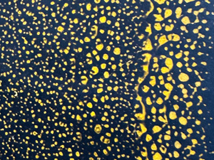 Yellow dots on a field of black; it's weathered paint on a road side