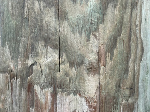 Large wood grain pattern on an old board