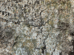 Very rough cement pattern