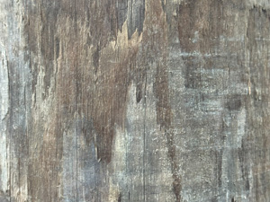 Old wood with peeling surface