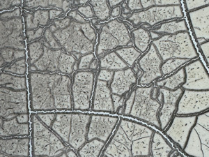 Intense crackle pattern on old sign