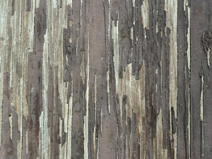 Very dry peeling paint in thin vertical strips