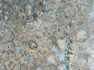 Strange concrete texture with small stones and a cracked pattern