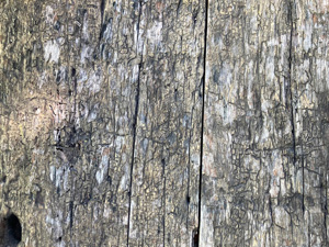 Rough wood texture with old cracked surface