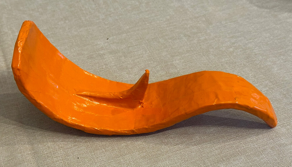 The orange tongue, sitting upside-down, showing the little bracket-like structure.