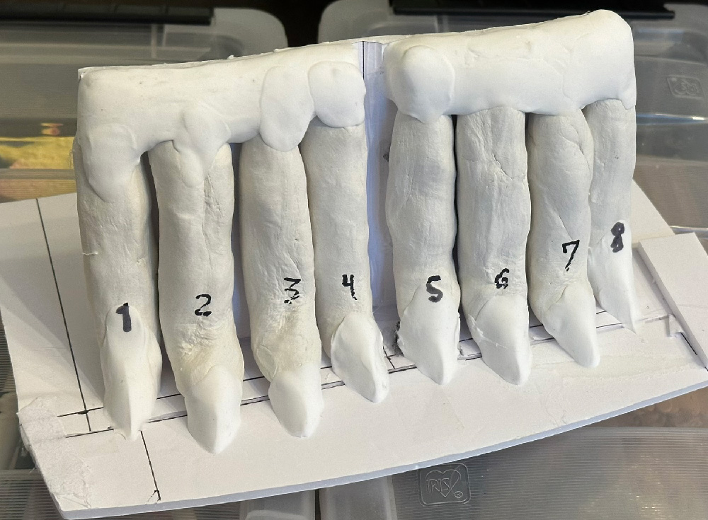 The hands in progress; they're just eight fingers for now, standing vertically, made of white clay.