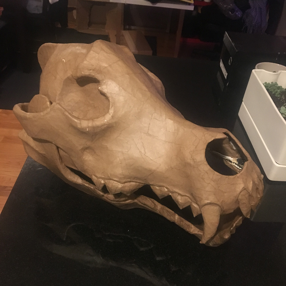 paper mach&eacute; wolf skull
