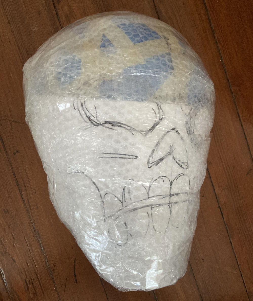 Pro wrestler skeleton costume - bubble wrap