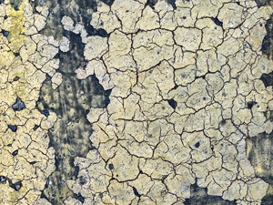 Complex cracked pattern on old faded yellow paint