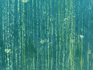 Green paint with thin yellow brush marks