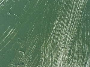 Green paint on a flat metal surface with very visible brush strokes, like this surface probably used to look solid green but the paint is weathering away and the brush strokes have become clearer.