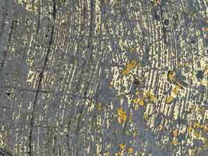 Concrete curb with very scratched yellow paint, two different yellow colors from two different coats. The concrete has a curvy pattern in it from where it was brushed with something like a broom before drying.